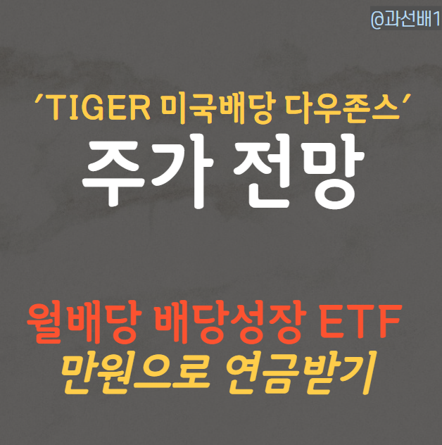  TIGER 미국배당다우존스, 만원으로 연금저축 투자 해보기