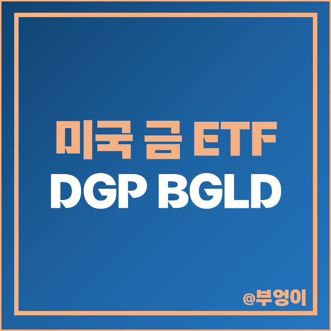 미국 ETF 투자 금ETF 비교 레버리지 DGP 버퍼 ETN BGLD
