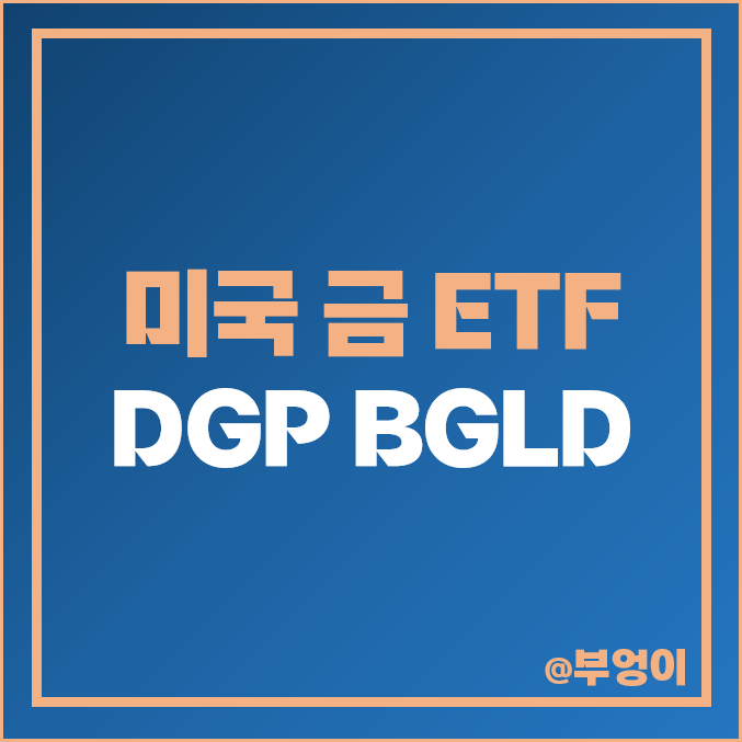 미국 ETF 투자 금ETF 비교 레버리지 DGP 버퍼 ETN BGLD 미국 ETF 투자 금ETF 비교 레버리지 DGP 버퍼 ETN BGLD