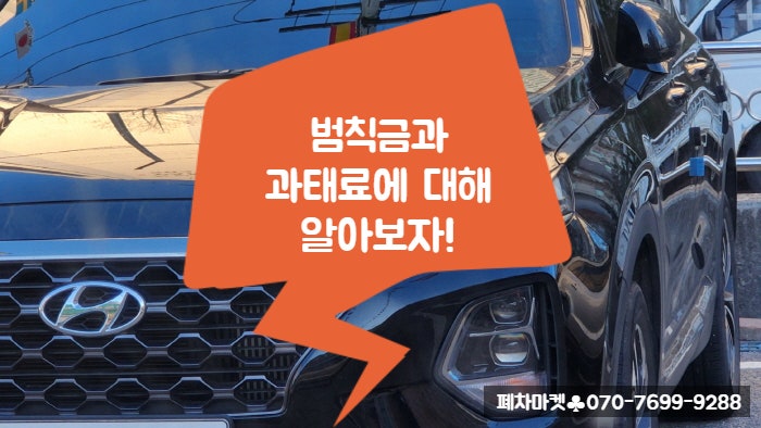  범칙금과 과태료에 대해 알아보자!
