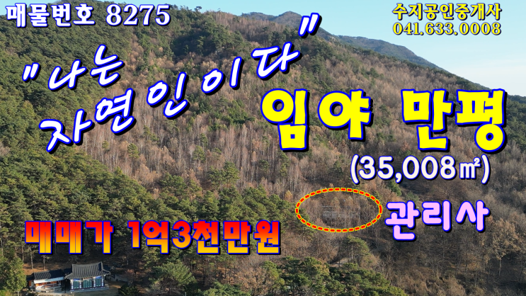 넘는 임야와 산림경영관리사 포함 "<b>나는 자연인이다</b>" 1억3천만원