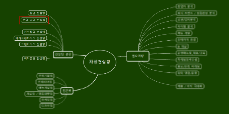  외식 컨설팅 회사들은 어떤 업무를 하는가?!?! 내가 만약 컨설팅 회사를 만든다면 어떤 모습일까??