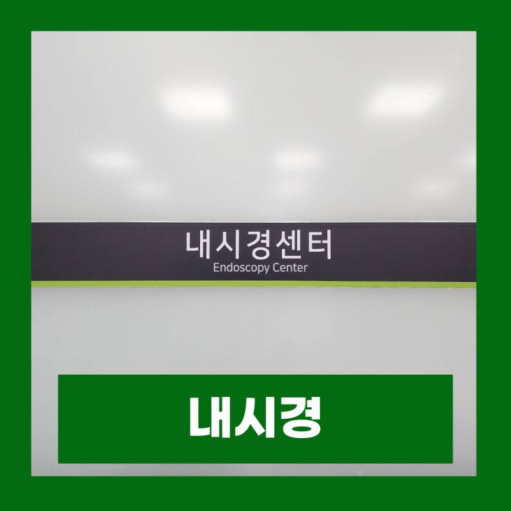  생애 첫 대장내시경 위내시경 받아 본 후기