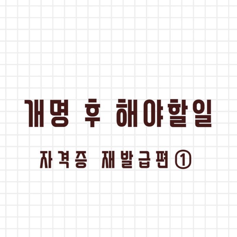 [개명] 개명 후 해야할일 5 - 보육교사, 사서자격증 재발급