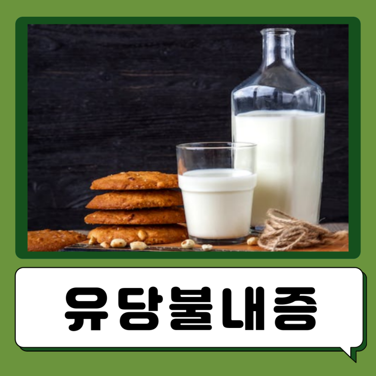  우유만 먹으면 설사하는 유당불내증 증상 원인