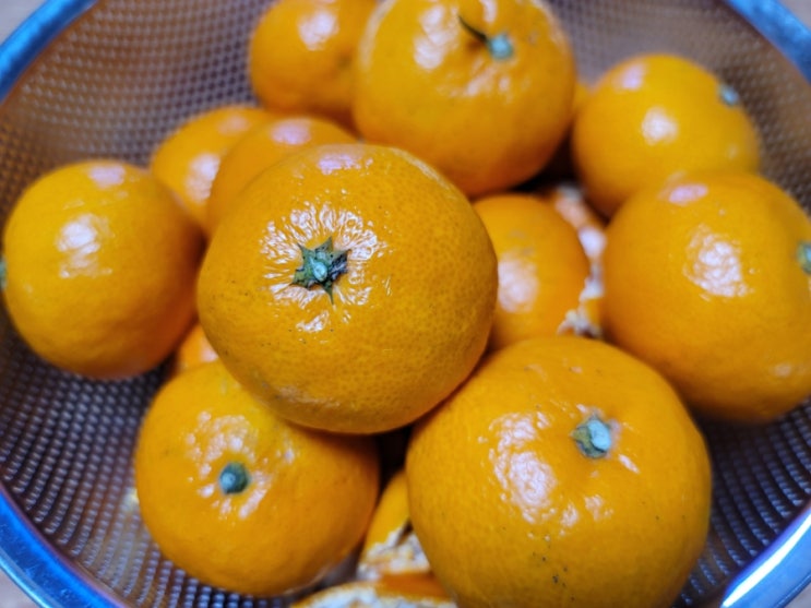  내돈내산 아이들도 좋아하는 진짜 맛있는 겨울과일 타이벡귤 완전 추천 달다 달아