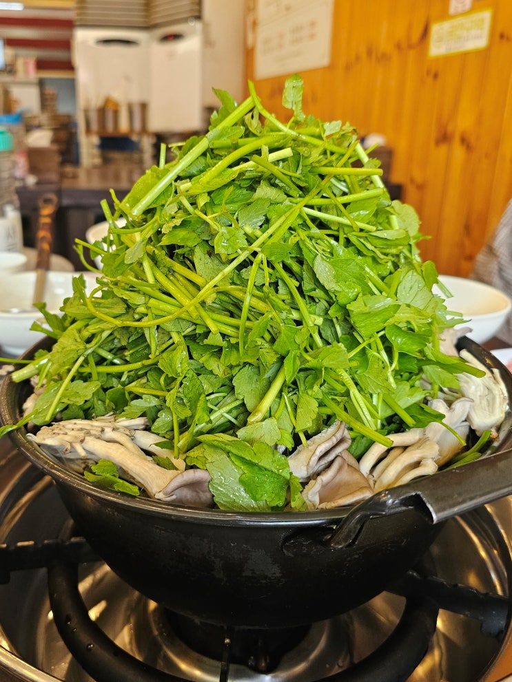  수원 맛집 등촌샤브칼국수 올림픽공원점, 오늘 점심은 샤브샤브