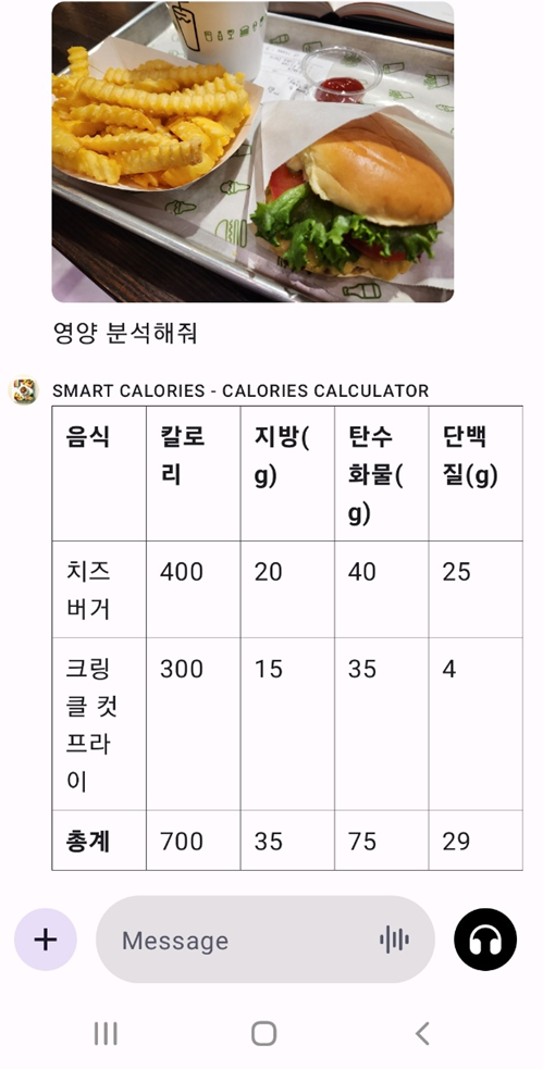  영양 관리, AI 비서 만들기 프로젝트 (1)