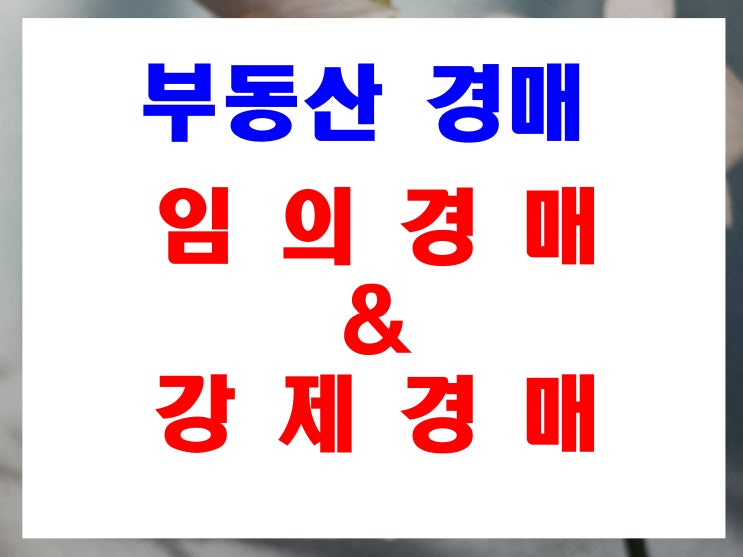  임의경매  강제경매 차이점에 대한 설명 및 집행 절차