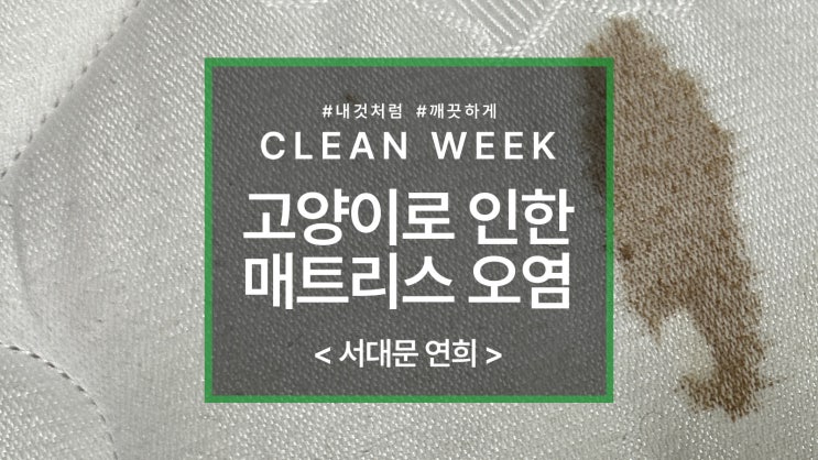  관산동 침대 매트리스 청소
