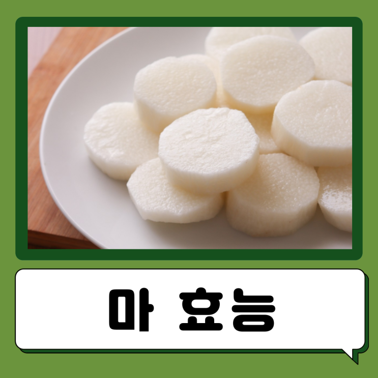  마 참마 마즙 효능 먹는법 부작용