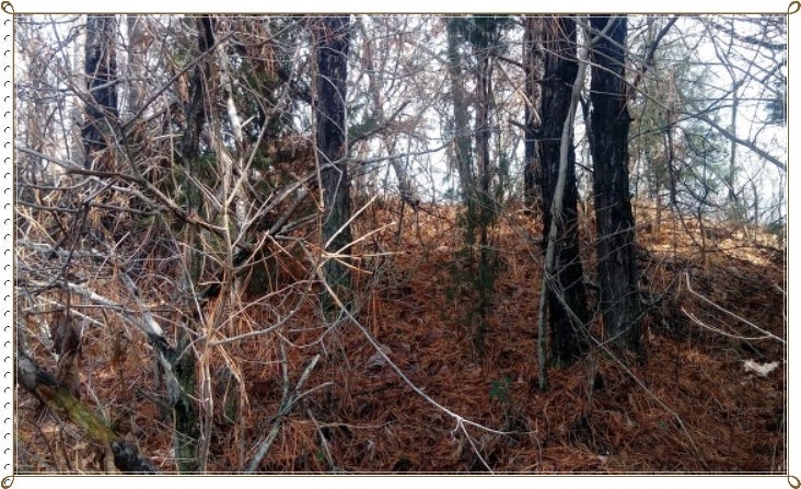 승자산 사진 4