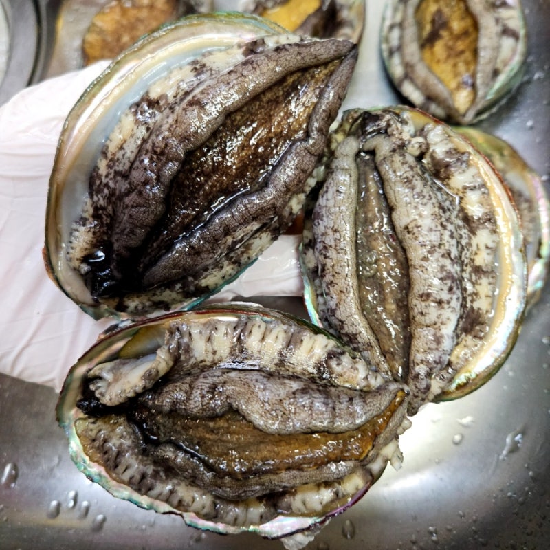 전복 세척 및 손질하는 방법 | 전복 이빨, 전복 내장, 전복 모래주머니