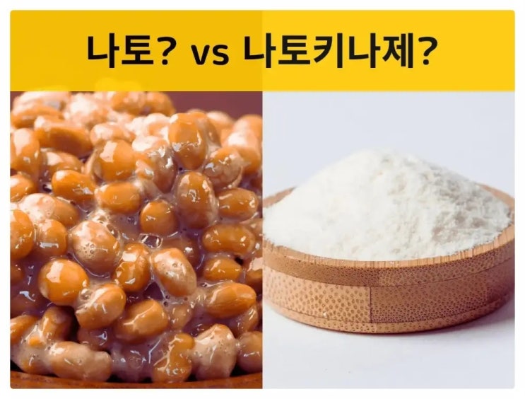  일본낫토키나제 제대로 고르는 방법?