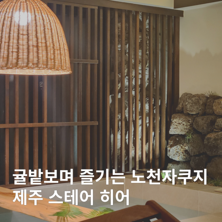  제주 서쪽 숙소 히어 :: 신상 자쿠지 독채펜션 감성숙소