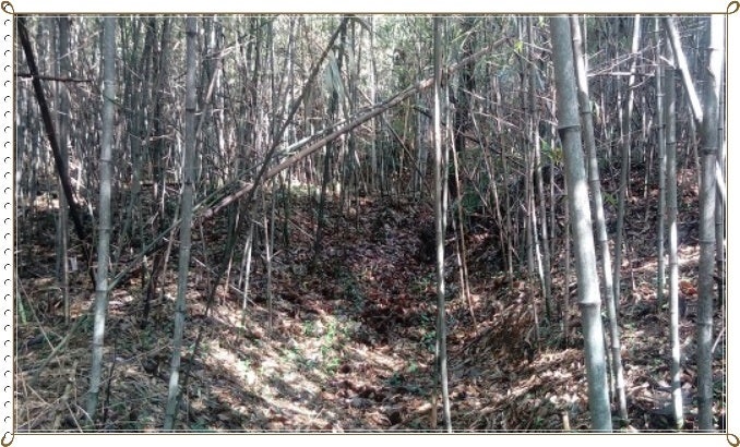 승자산 사진 5