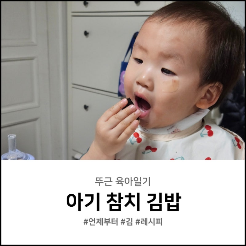 아기 참치 김밥 레시피 언제부터