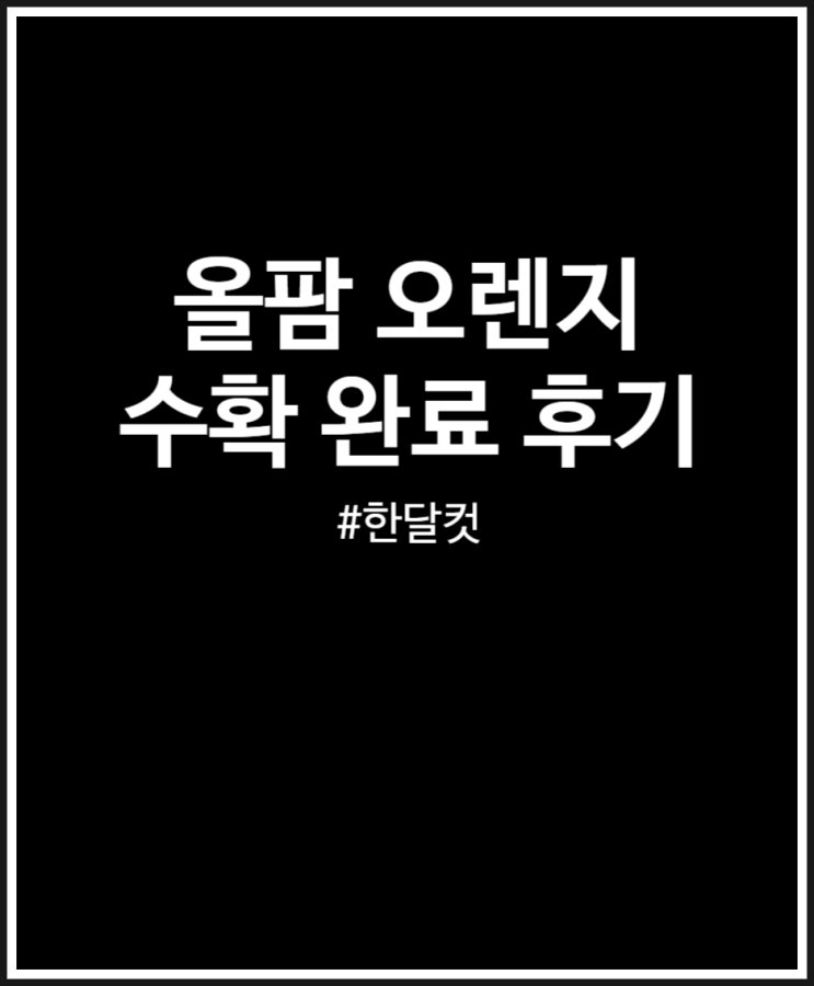  올팜 오렌지 수확 완료 기간 한 달 난이도 할만하네