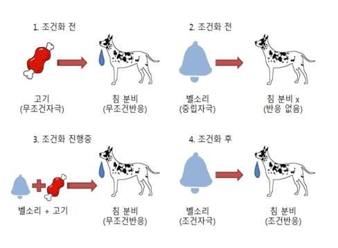  분당애견운동장:) 라드독(파블로프의 개_강아지 초인종소리)