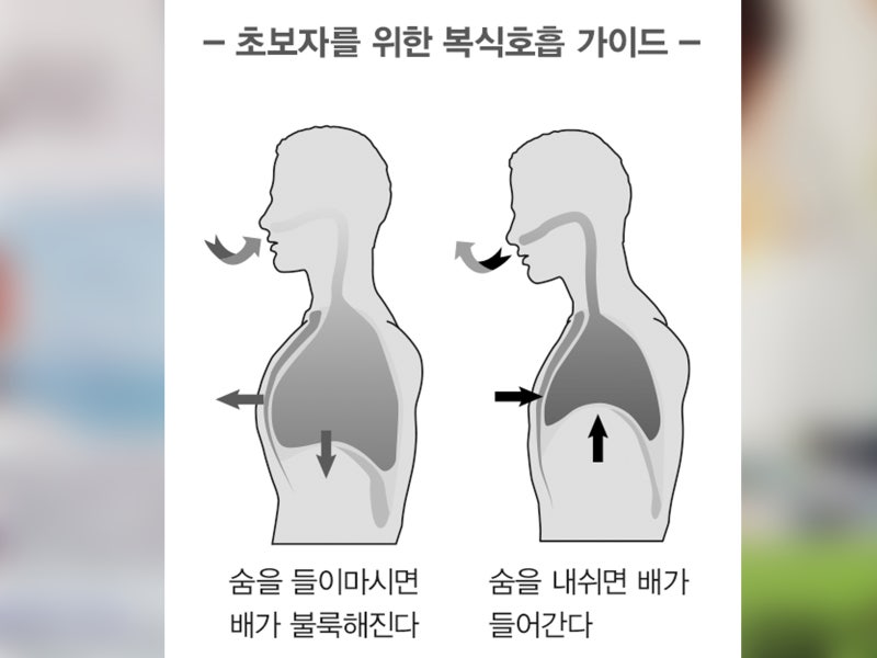 복식호흡 하는법 및 효과(횡격막 흉식호흡, 숨쉬기 들숨 / 날숨, 구강호흡) : 네이버 블로그