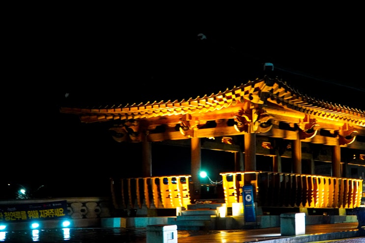  전주 야경 명소 가볼만한 곳 한옥마을 청연루 지나가다 발견한 포토존