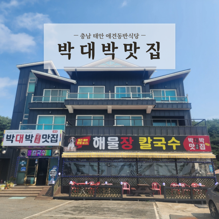  충남 태안 안면도 애견동반식당 박대박맛집 칼국수 생선구이 내돈내산 후기