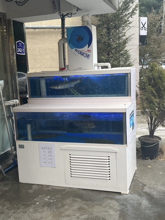 스시궁 사진 4