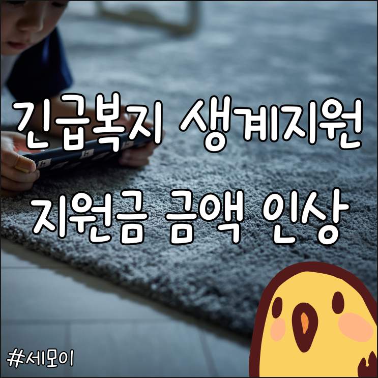  긴급 복지 생계지원금 금액·중위소득 인상 소식 (대상, 조건, 신청방법)