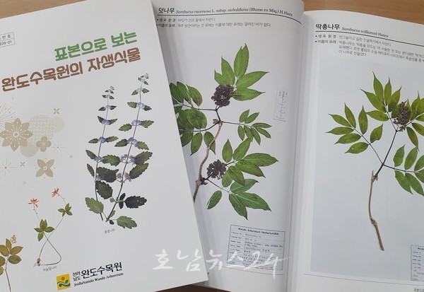  전남도산림자원연구소 완도수목원, 자생식물 300종 한눈에