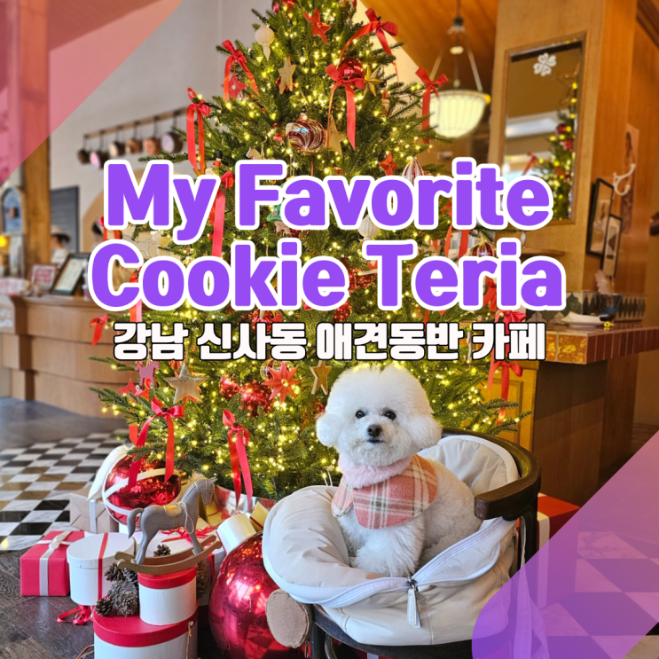  "비숑 똑닮 케익?" 실내애견동반 카페, 마이페이보릿쿠키테리아