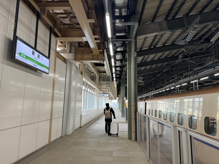 [그린샤 타고 일본전국일주!] #18 철도 여행중~ 니가타에서 신칸센을 타고 도쿄로