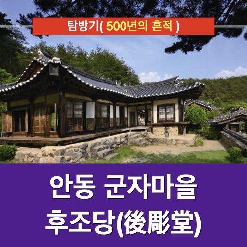 500년의 흔적 안동 여행지 군자마을 탐방기 500년의 흔적 안동 여행지 군자마을 탐방기