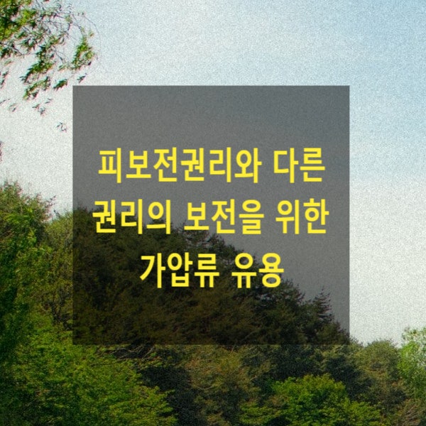  피보전권리와 다른 권리의 보전을 위한 가압류 유용의 허용 여부(소멸한 위자료채권에 기한 가압류를 재산분할청구채권으로 유용 가능한지)