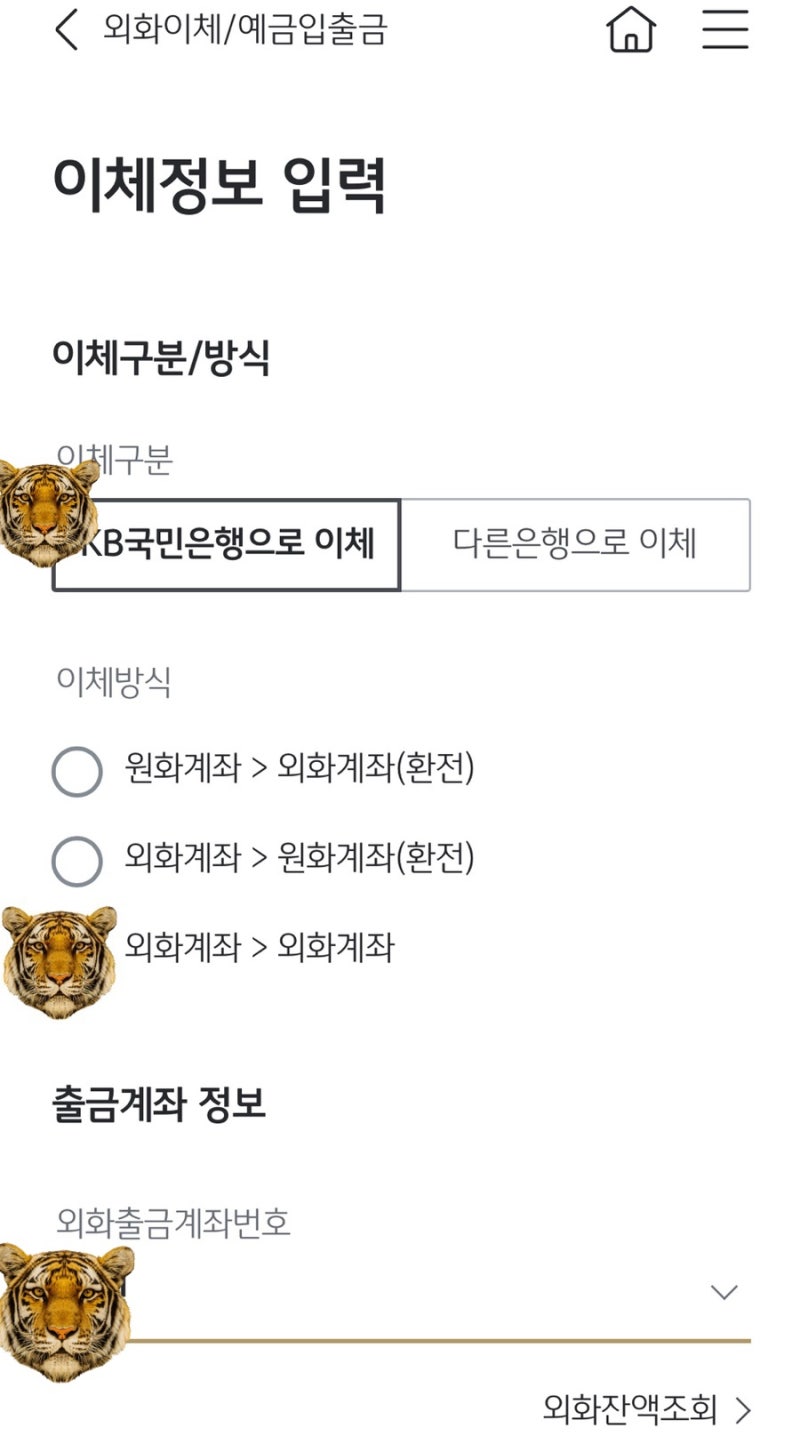 국민은행 외화입금 안될때 쉽게 따라해봐 | 남은 달러입금후 KB증권 외화입금 (23년 최신) : 네이버 블로그