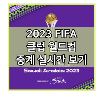 토너먼트 <b>6강</b> 준결승 결승 대진표 생중계 사이트 tv 방송... 