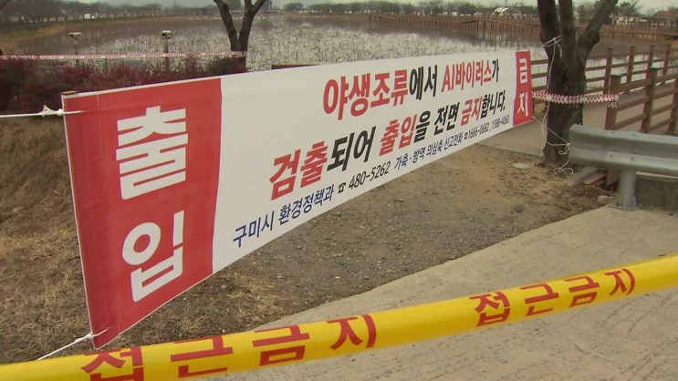 구미 <b>야생조류</b>에서 고병원성 <b>AI 확진</b>...확산 방지 비상