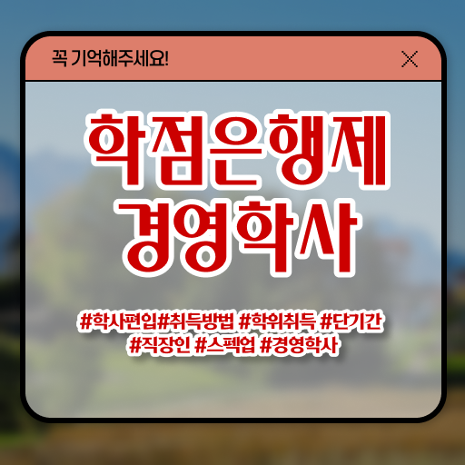  학은제 자격증 경영학 직업 필수 정보 쏙쏙 ?!