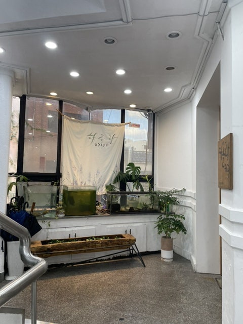Haolramkeopi photo 6