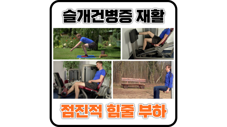  슬개건병증 효과적인 재활 프로그램(점진적 힘줄 부하 운동 PTLE)
