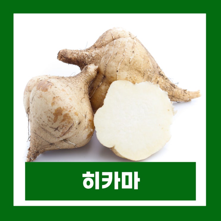  멕시코감자 효능 히카마 먹는법 당뇨에 좋은 음식