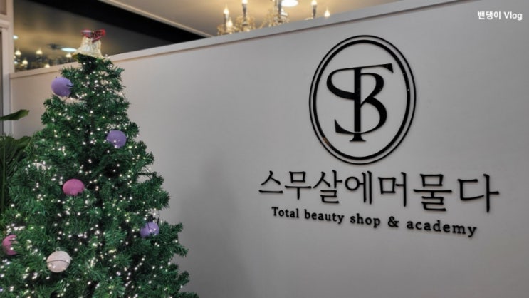  봉명동 스무살에머물다 두피관리후기 + 대전피부자격증속성