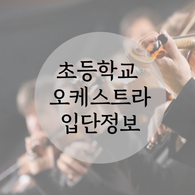  초등학교 어린이 오케스트라 입단부터 연주회까지