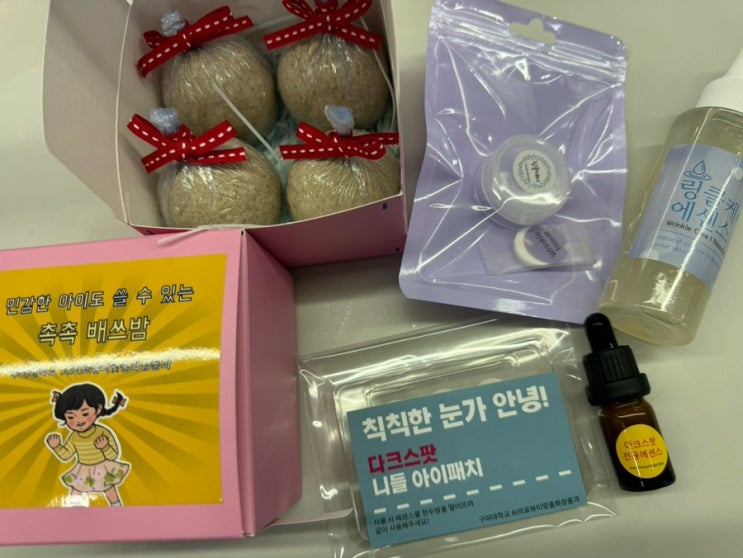  혁신을 향한 도전  캡스톤 디자인 경진대회 후기