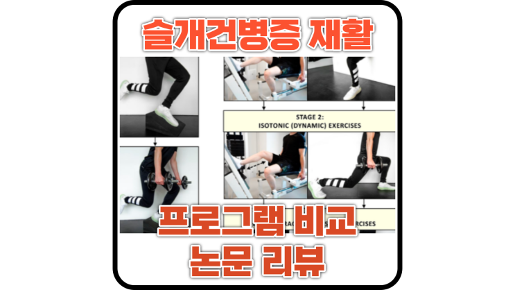  슬개건병증(patellar tendinopathy)에 효과적인 재활 방법(점진적 힘줄 부하 운동)