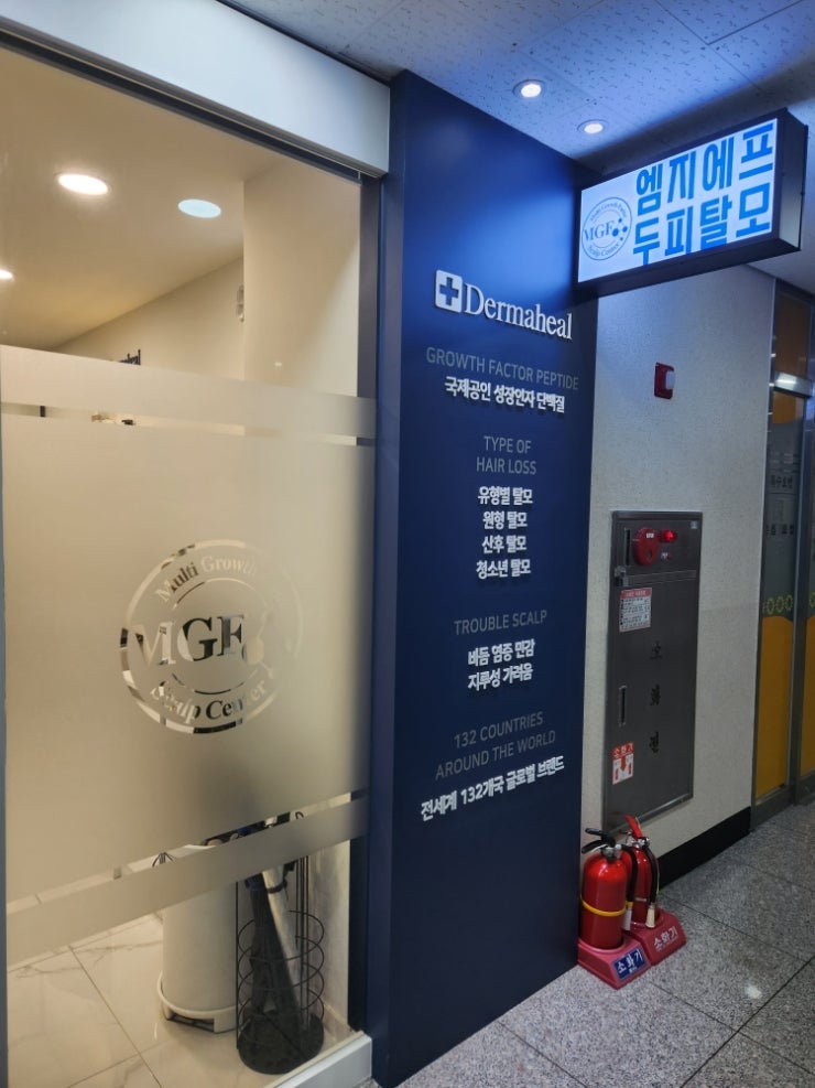  [분당/야탑] 분당 두피, 비듬, 각질, 탈모케어 후기  엠지에프두피탈모전문센터 분당야탑점