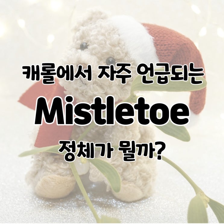  mistletoe 겨우살이 미슬토 단어 뜻/유래/미슬토 키스 의미/캐롤 듣기