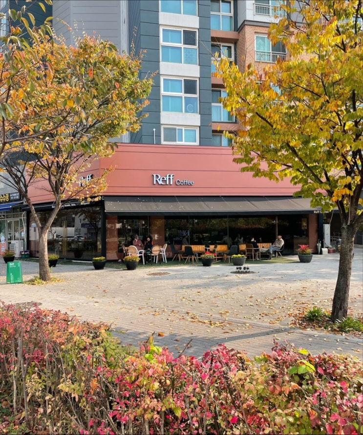  도심 속 휴식 공간 분위기 좋은 마곡 카페 리프