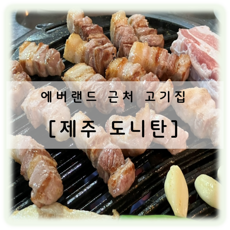  제주에 없는 제주 도니탄 용인 에버랜드 근처 고기 맛집