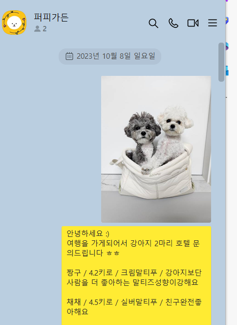 퍼피가든 애견 호텔 유치원