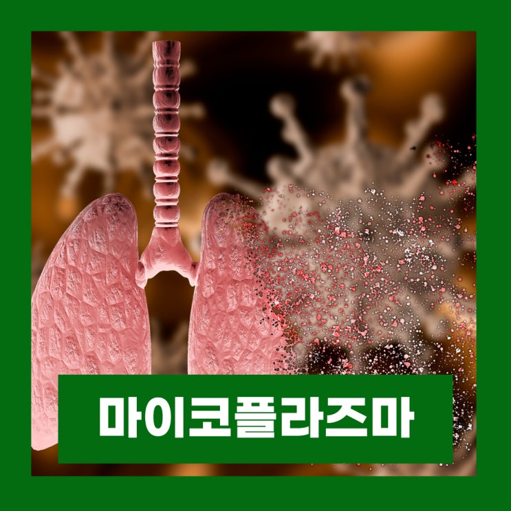  마이코플라즈마 폐렴 성인 증상 전염 항생제 내성